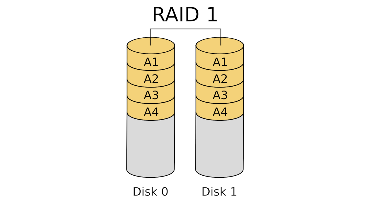 RAID 1